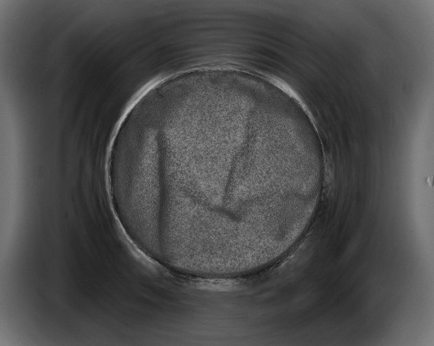 X0000083601090200703021906