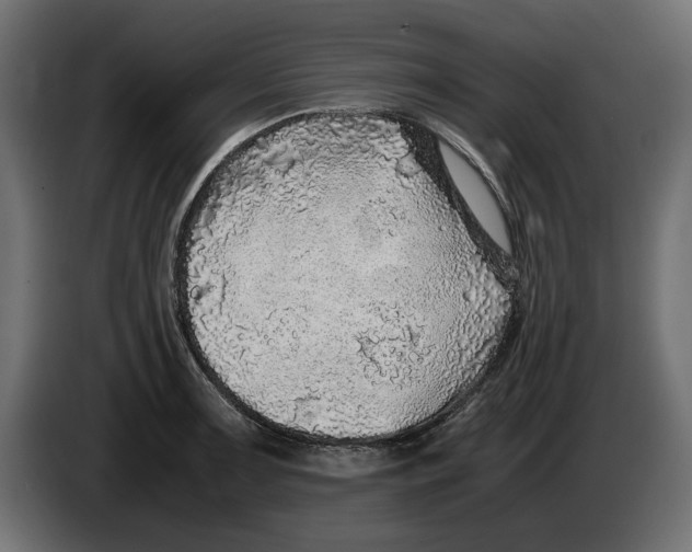 X0000083601091200703021906