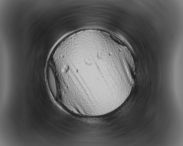 X0000083601092200703021906