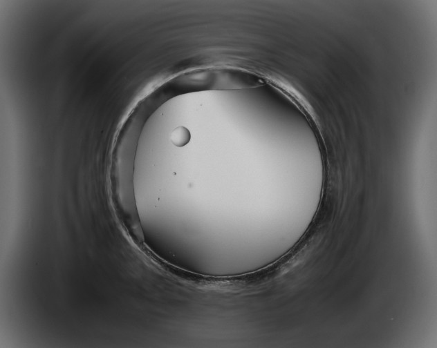 X0000083601093200703021906