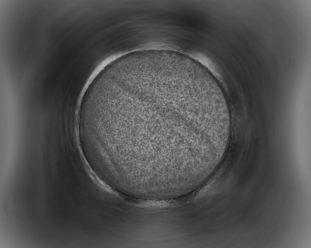 X0000083601094200703021906