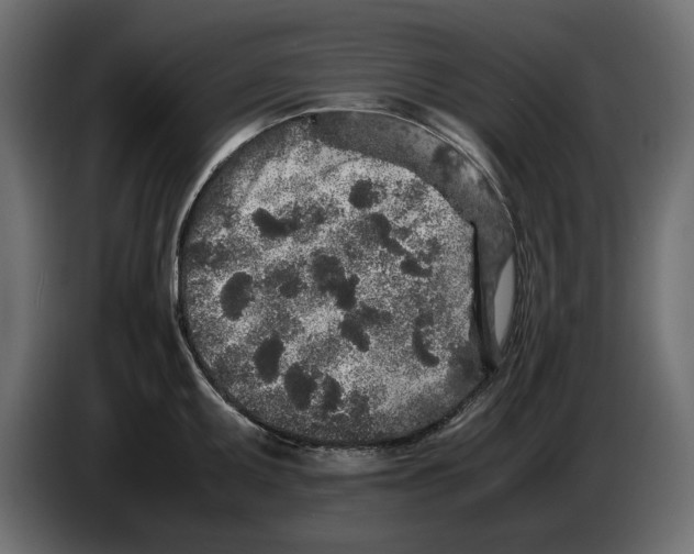 X0000083601095200703021906