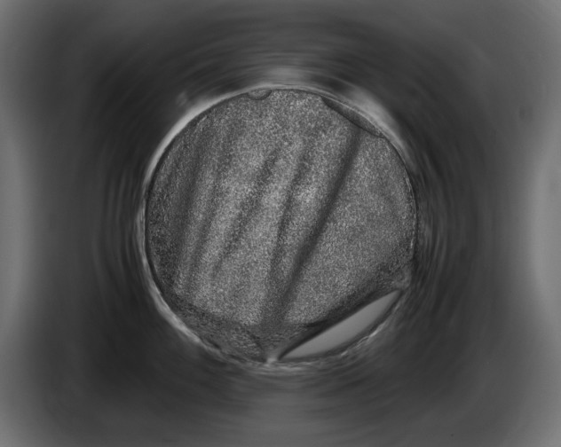 X0000083601100200703021906