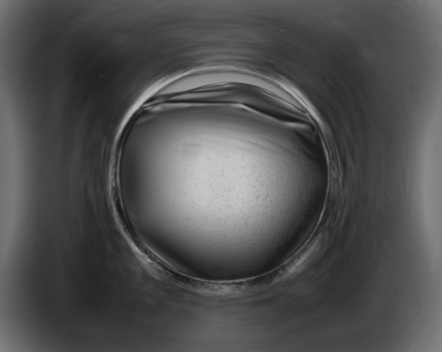 X0000083601101200703021906