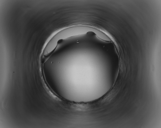 X0000083601102200703021906