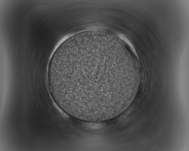 X0000083601103200703021906