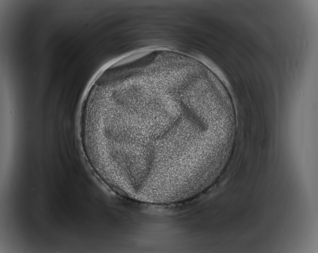 X0000083601104200703021906