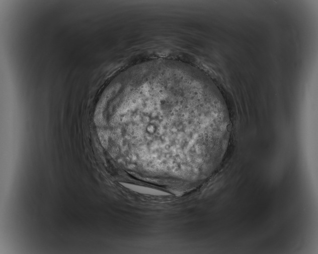 X0000083601105200703021905