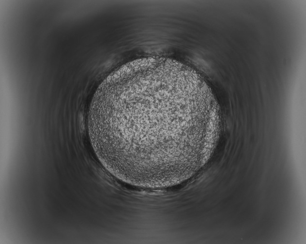 X0000083601106200703021905