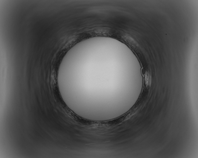 X0000083601107200703021905