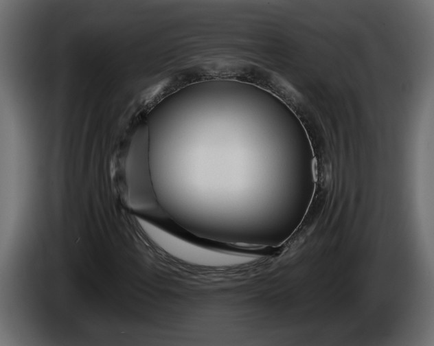 X0000083601108200703021905