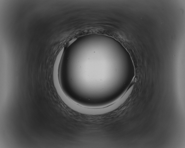 X0000083601109200703021905