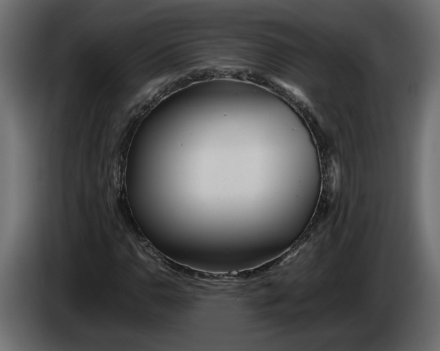 X0000083601110200703021905