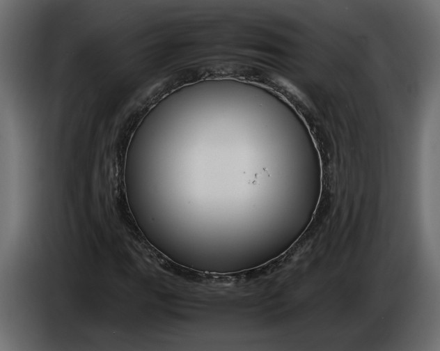 X0000083601111200703021905