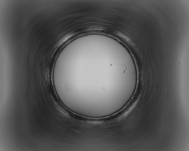 X0000083601113200703021905