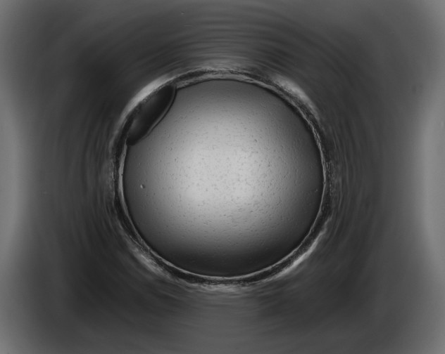 X0000083601114200703021905