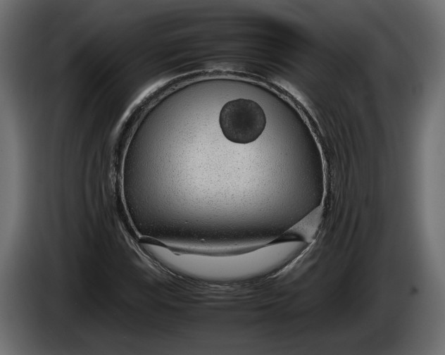 X0000083601115200703021905