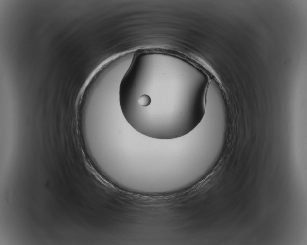 X0000083601116200703021905