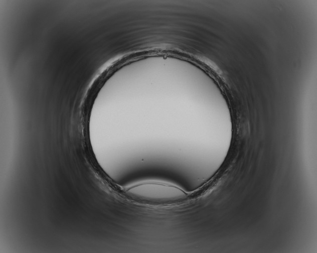 X0000083601118200703021905