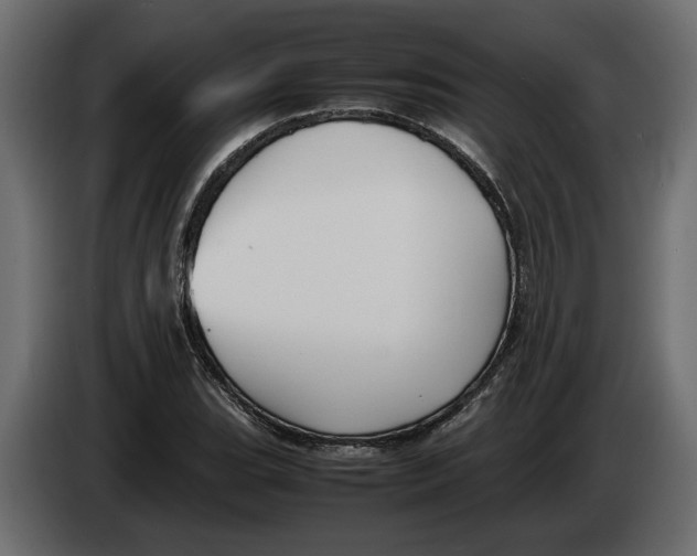 X0000083601119200703021905