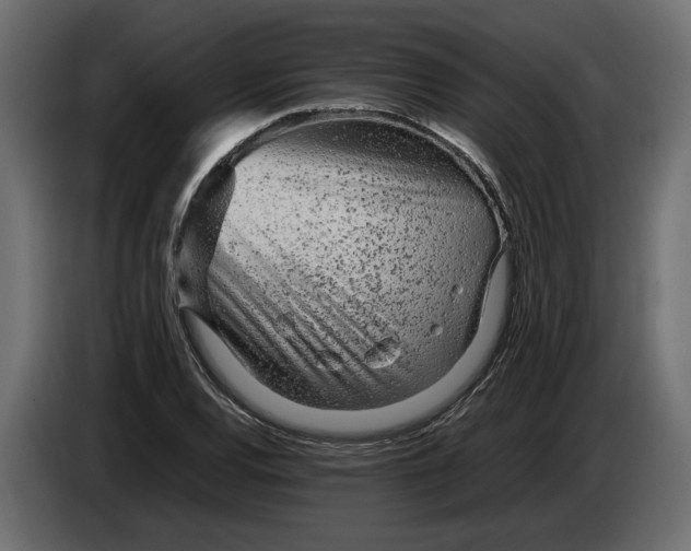 X0000083601120200703021905