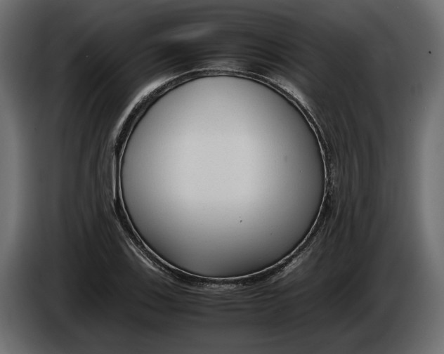 X0000083601123200703021905