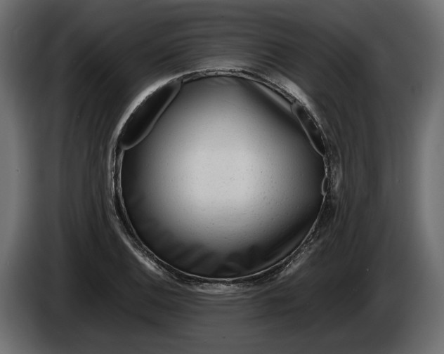 X0000083601124200703021905