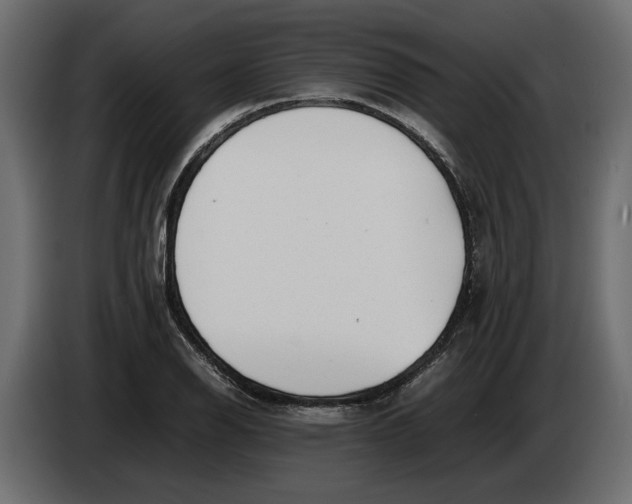 X0000083601126200703021905