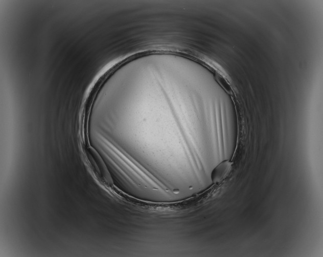 X0000083601128200703021905