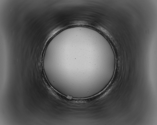 X0000083601129200703021905