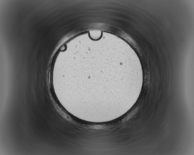 X0000083601130200703021905