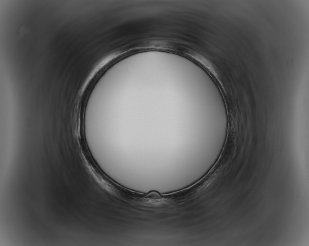 X0000083601131200703021905