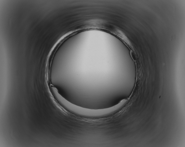 X0000083601132200703021905