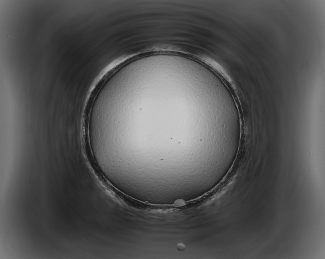 X0000083601133200703021905