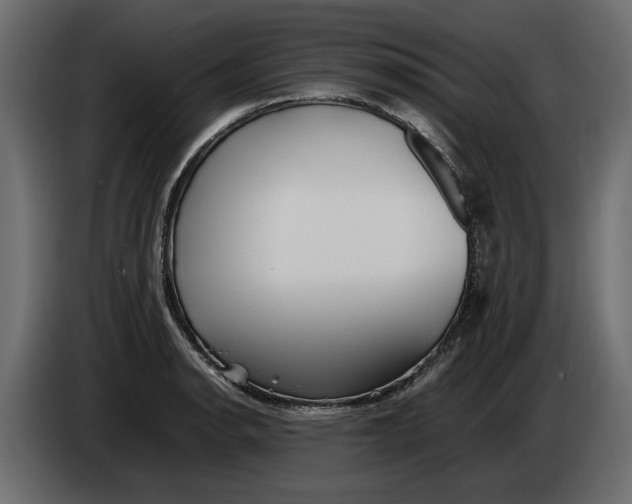 X0000083601134200703021906