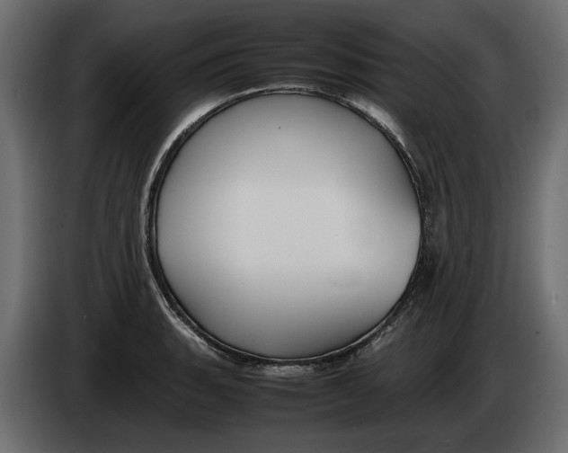 X0000083601135200703021906