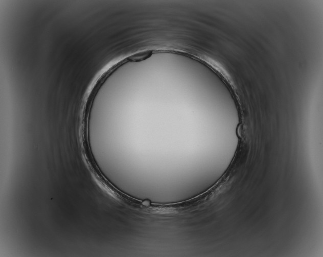 X0000083601136200703021906