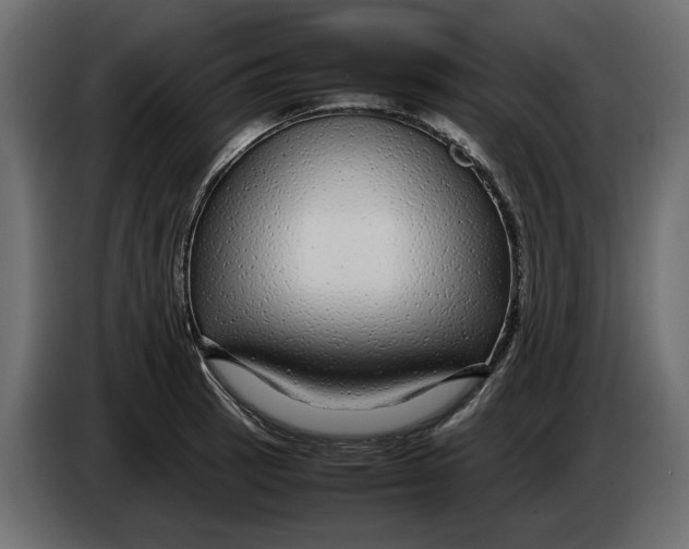 X0000083601137200703021906