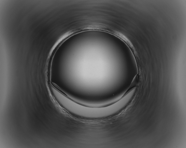 X0000083601138200703021906