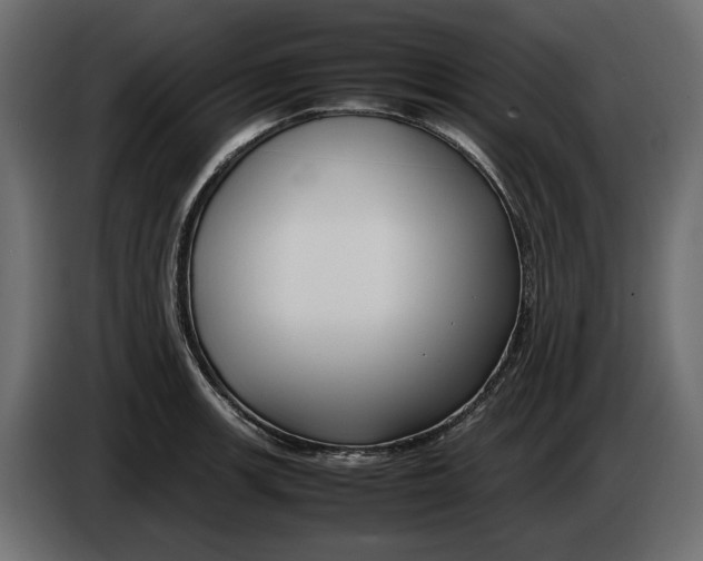 X0000083601139200703021906