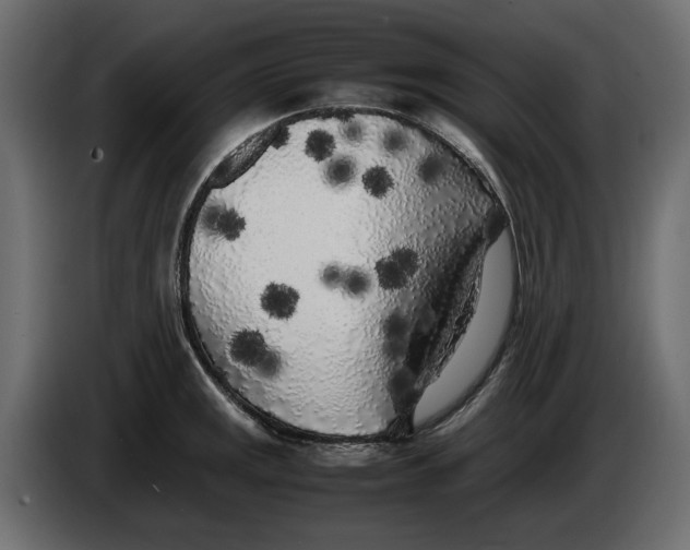 X0000083601141200703021906