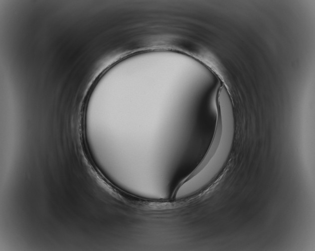 X0000083601142200703021906