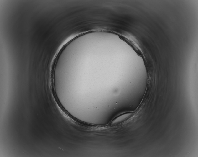 X0000083601143200703021906