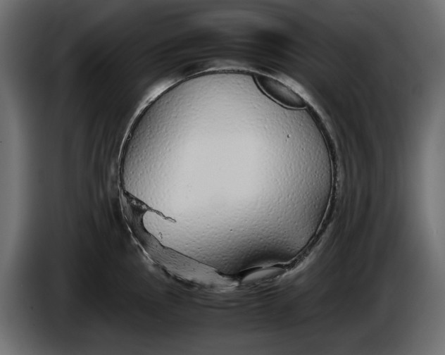 X0000083601145200703021906