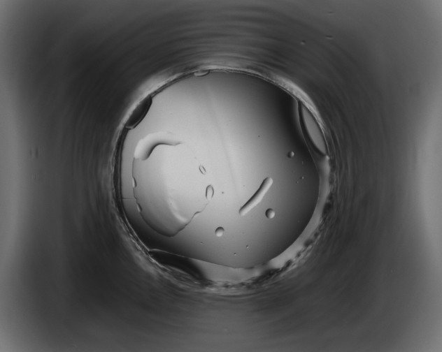 X0000083601146200703021906