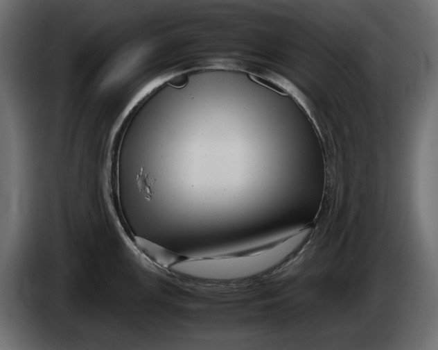 X0000083601147200703021906