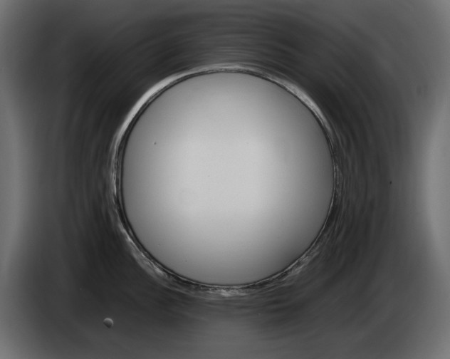 X0000083601148200703021906