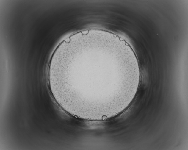 X0000083601150200703021906