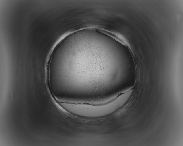 X0000083601151200703021906