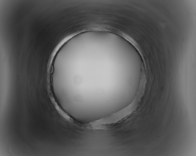 X0000083601152200703021906